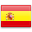 Idioma actual